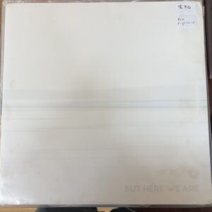 Foo Fighters – But Here We Are