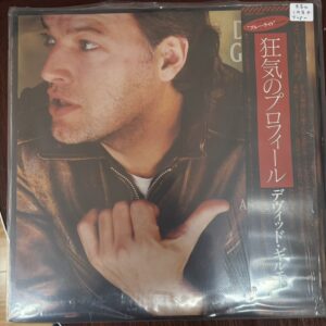 David Gilmour ‎– About Face